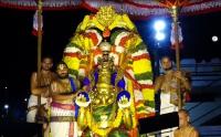 Thirupathy garuda sevai