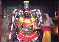 Lalithambigai amman sirappu aradhanai